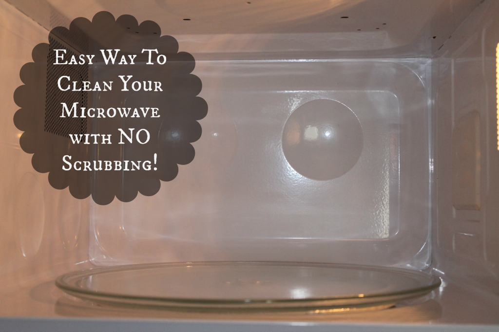 DIY microwave Cleaning