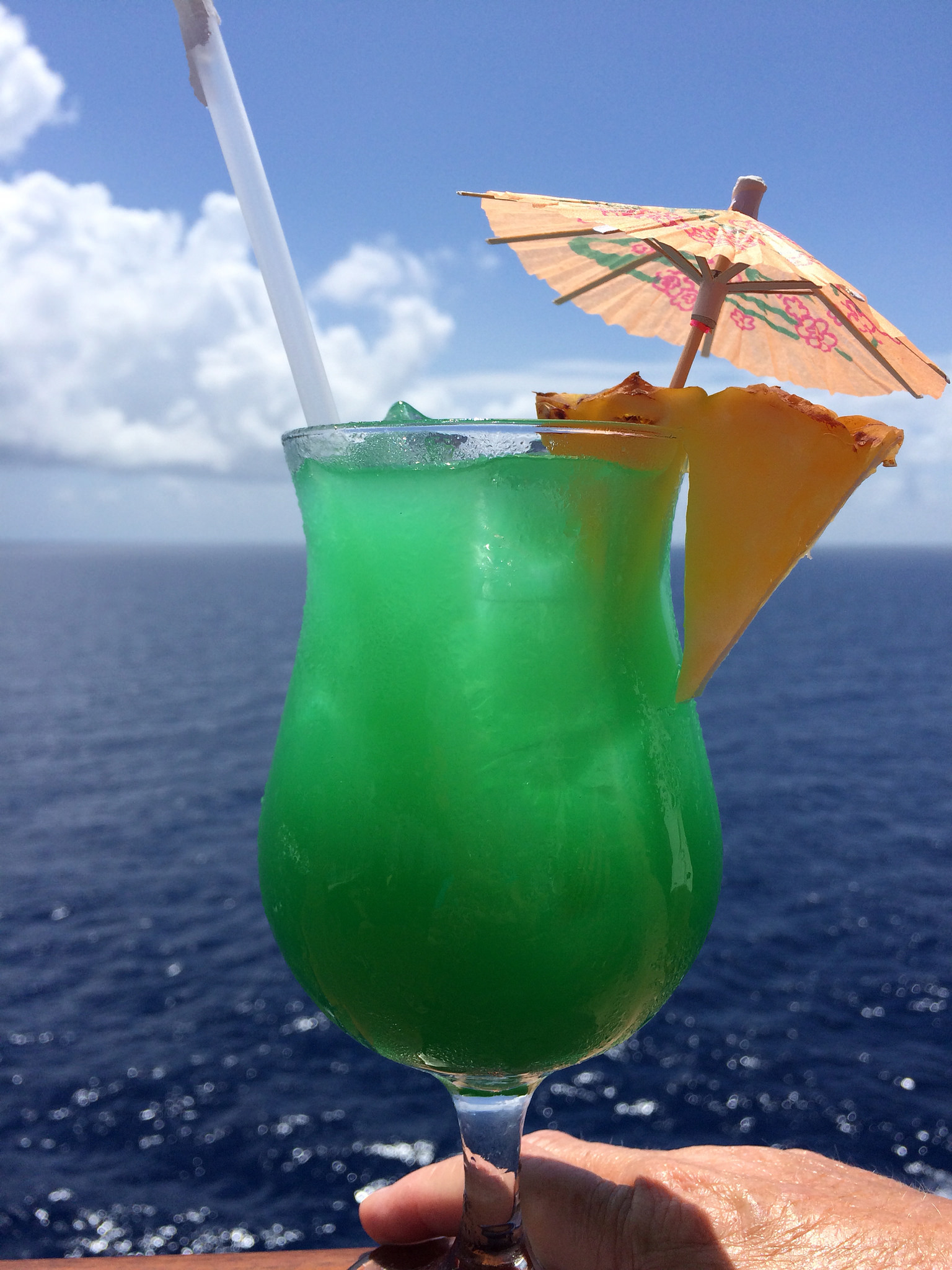 carnival cruise line tips