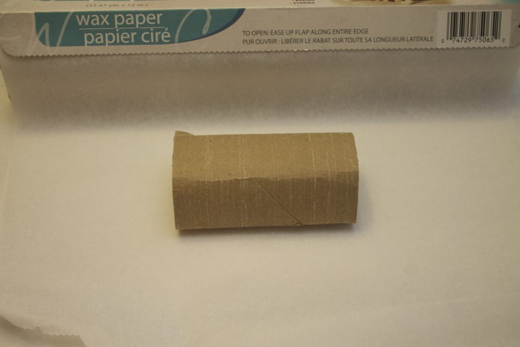 toilet paper crafts-noise makers 