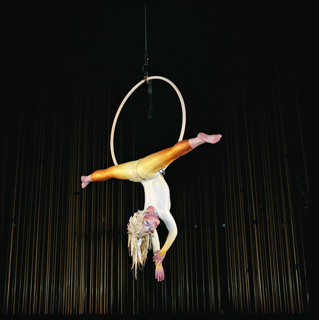 Varekai-Cirque Du 