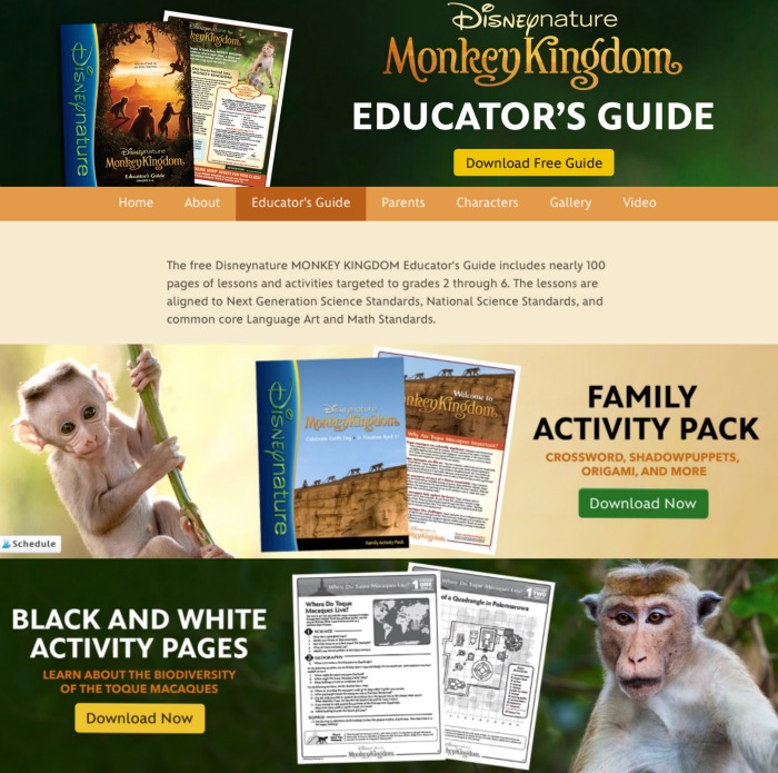 monkey kingdom printables- activity sheets 
