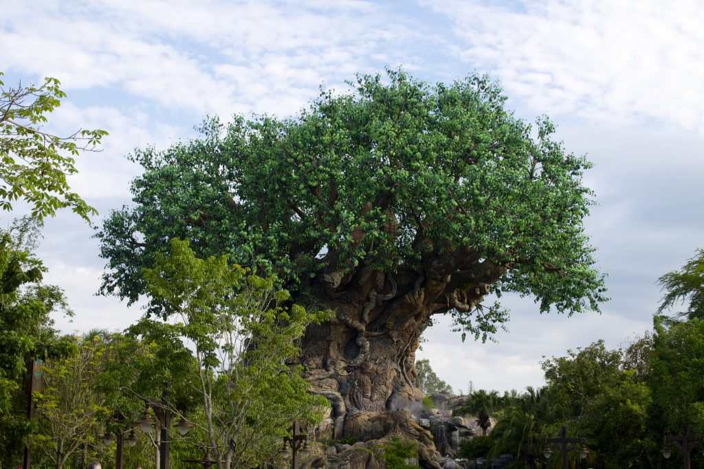what is the wilderness explorers at Animal Kingdom 