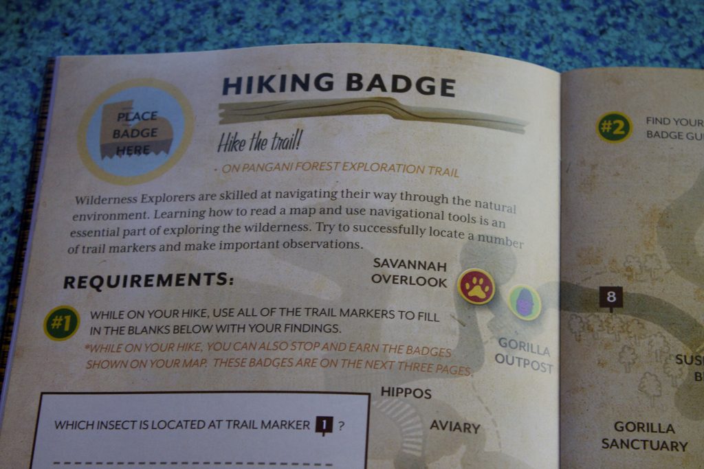 wilderness explorers badges 