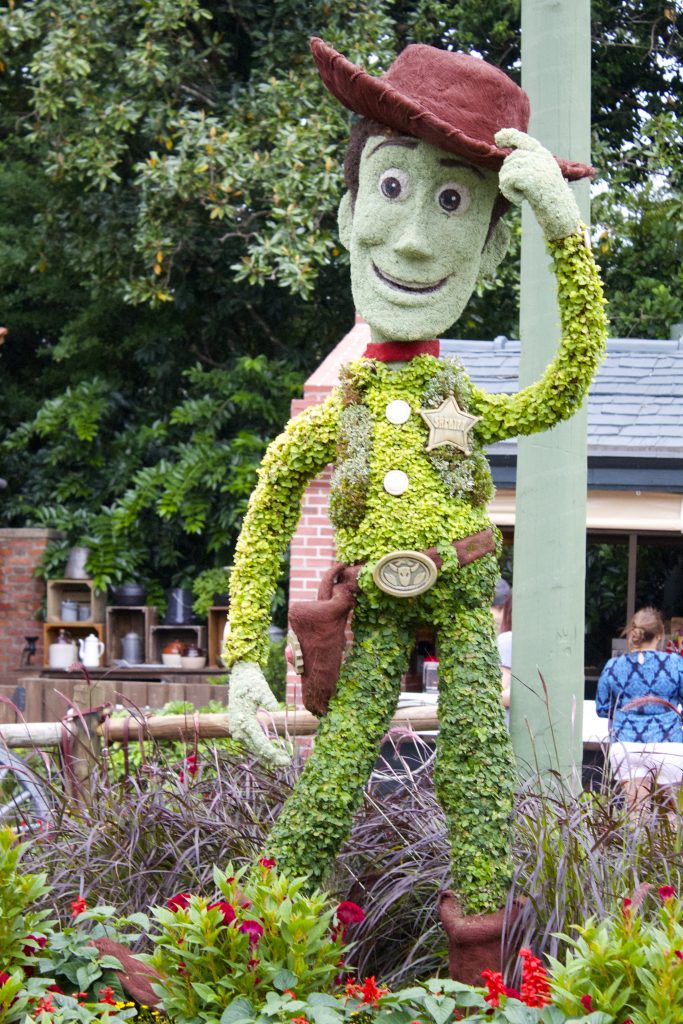 woody from toy story plant 