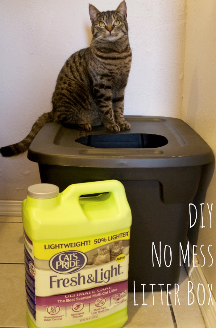 DIY Mess Free Cat Litter Box Mom Luck