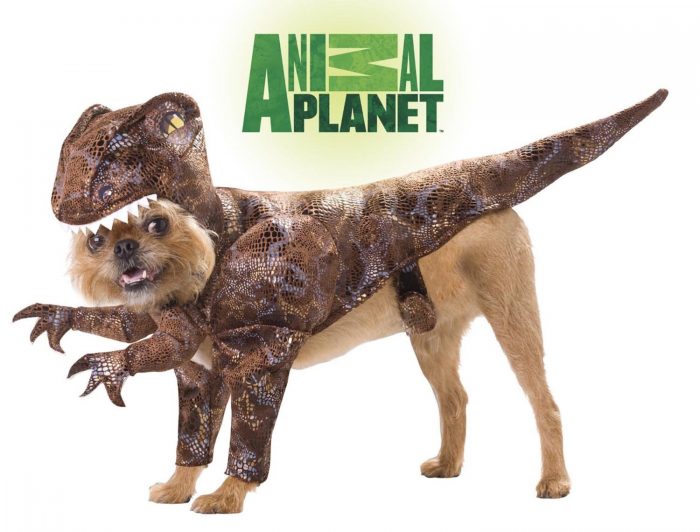 Funny Dinosaur Costume For Dogs 
