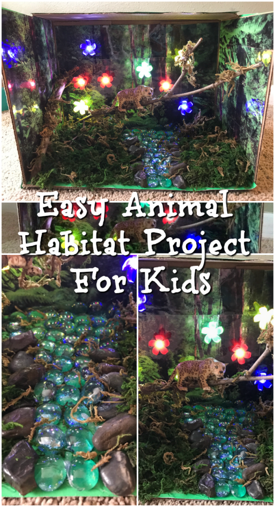 Easy Animal Habitat Project For Kids