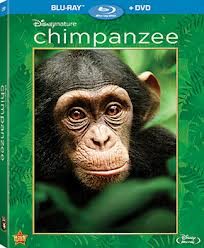 disneynature, chimpanzee movie, disney