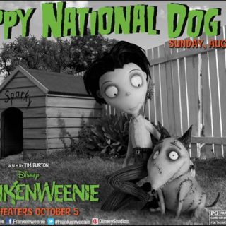 national dog day, frankenweenie