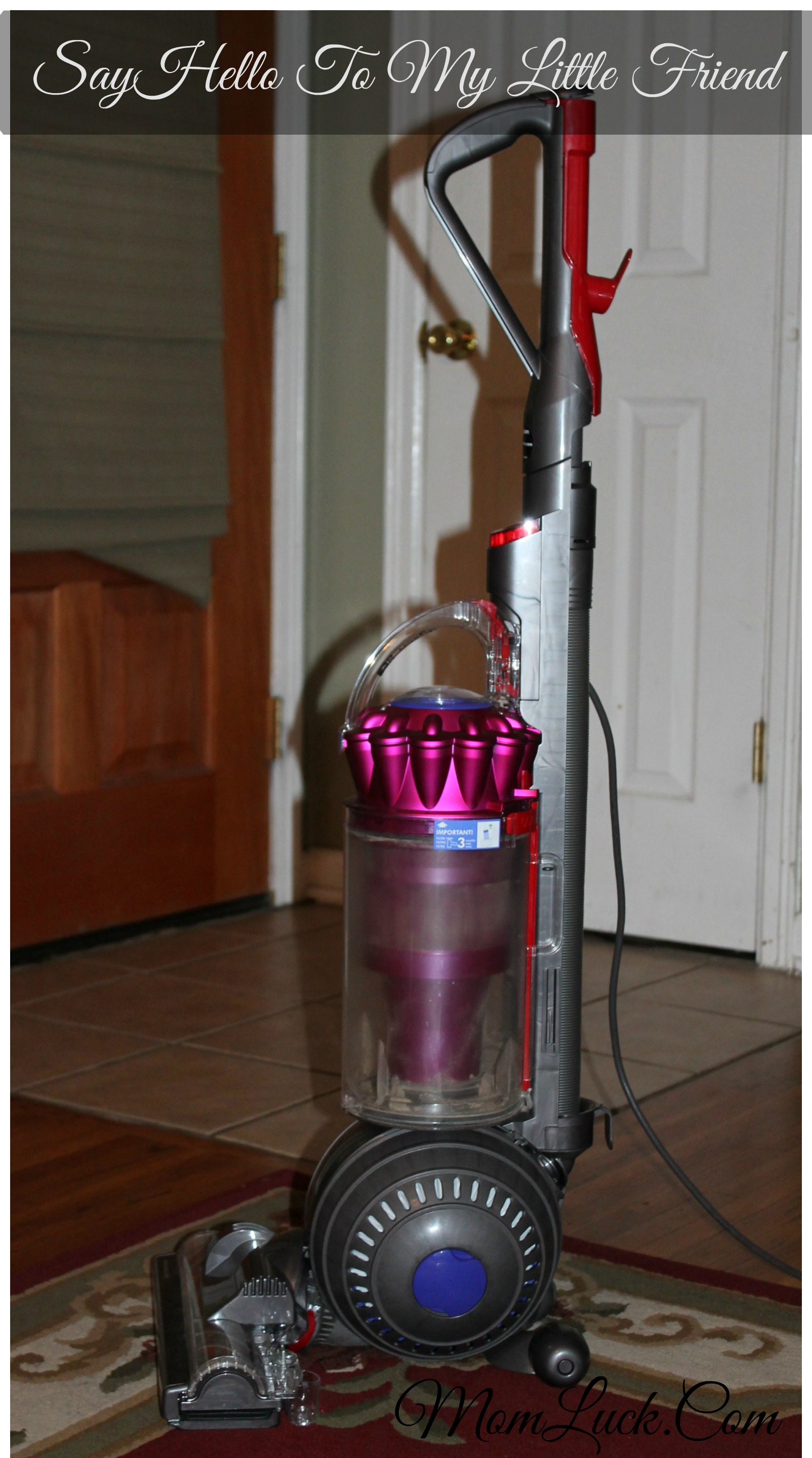 Dyson DC41 Animal Complete Vacuum Review