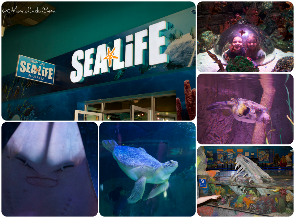 sea life aquarium