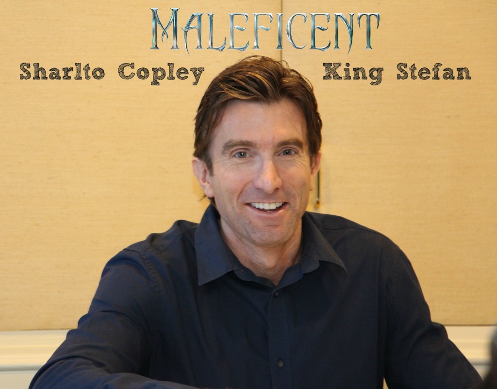 Sharlto Copley as King Stefan 