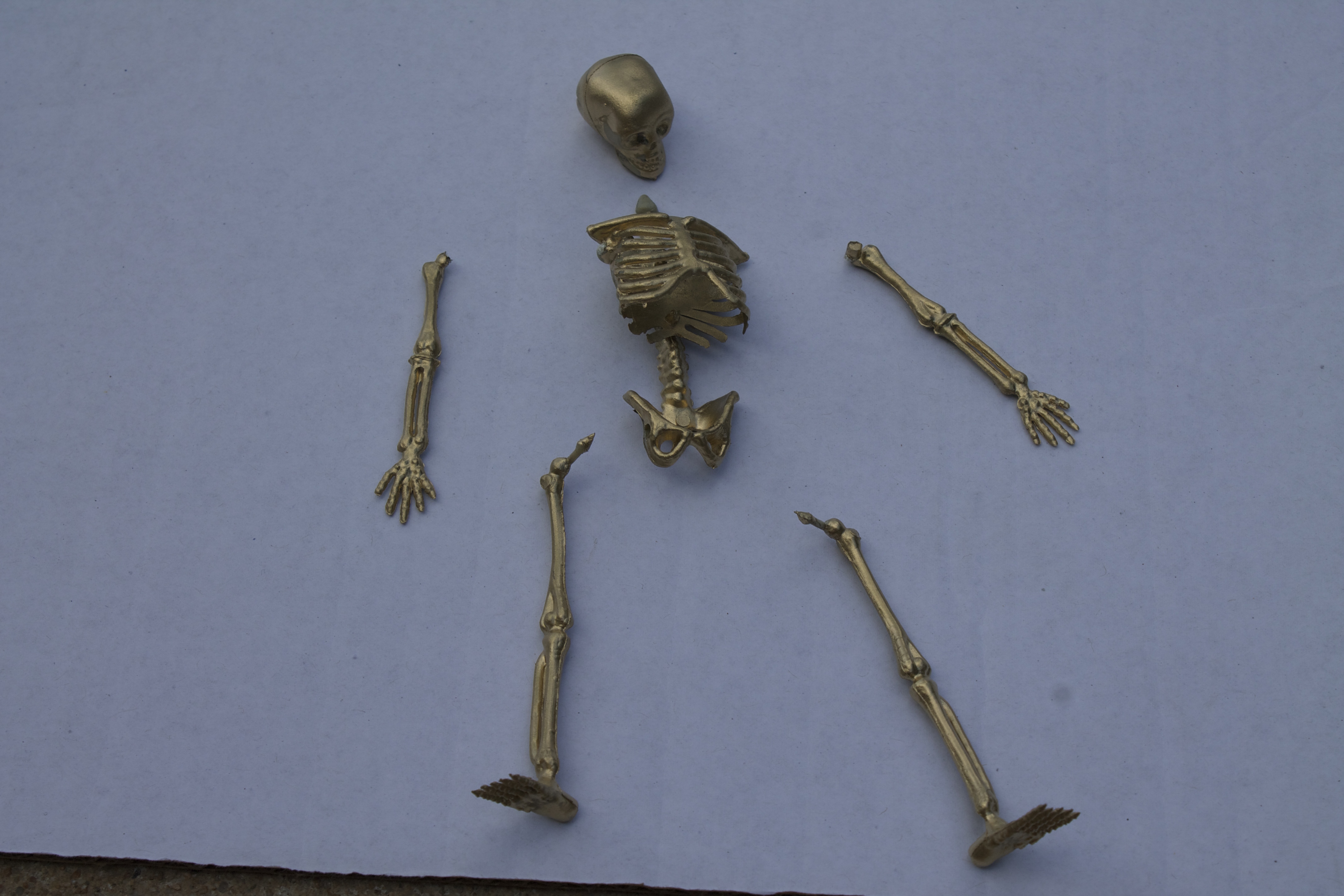skeleton trophies 