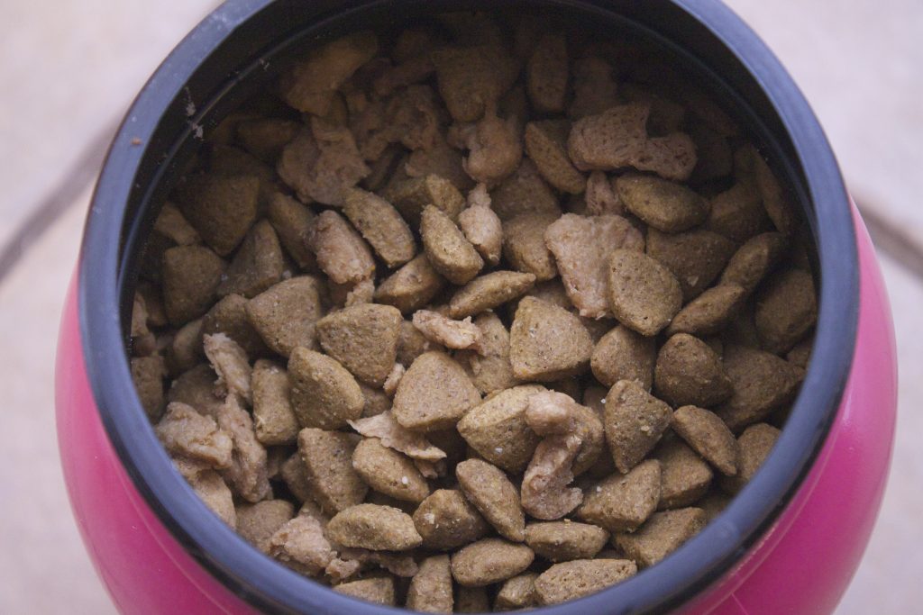 diy dog food container 