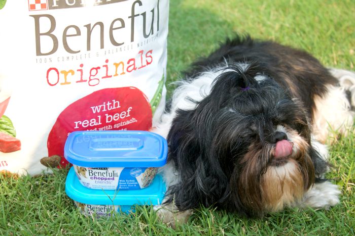 beneful brand dog food