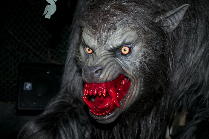 An American Werewolf in london House at Halloween Horror Nights 25