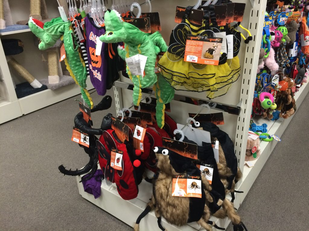 costumes for pets 