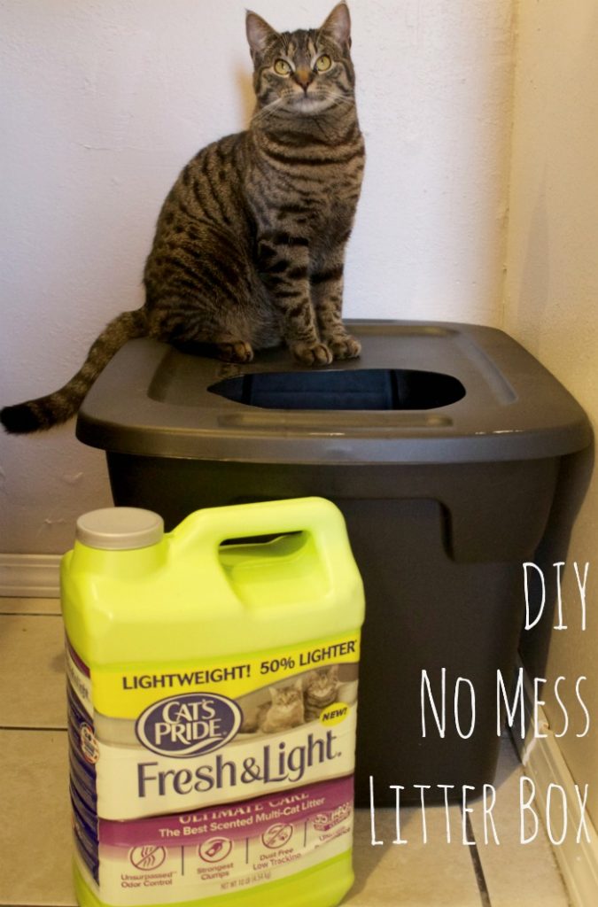 diy mess free cat litter box