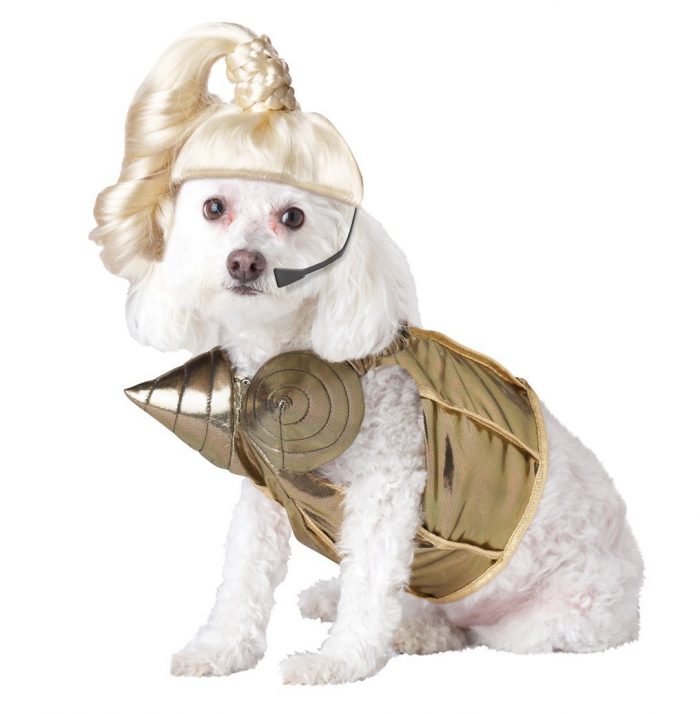 Dog Costume Pop Star