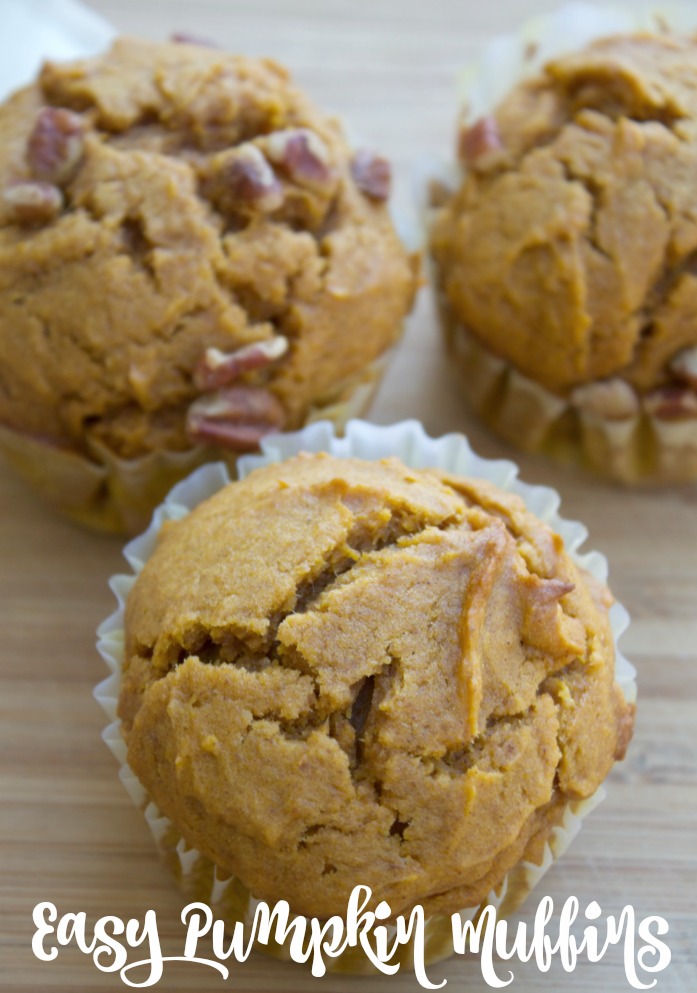 Easy Pumpkin Muffin Recipe 